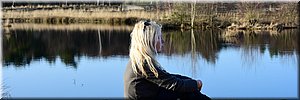 wo 24-2-2021 Langs de rand van Nederland 28 - Herckenbosch > Herckenbosch - Elfen en addergebroed - 16,6 km